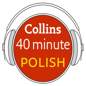 cover image of Polish in 40 Minutes